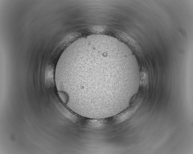 X0000111430238200908031338