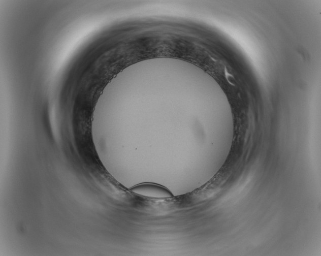 X0000111430239200908031338