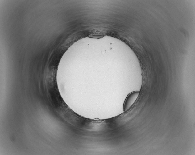 X0000111430240200908031338