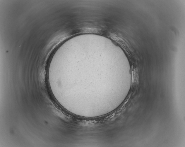 X0000111430243200908031337