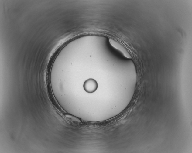 X0000111430244200908031337