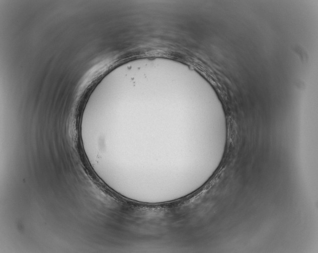 X0000111430245200908031337