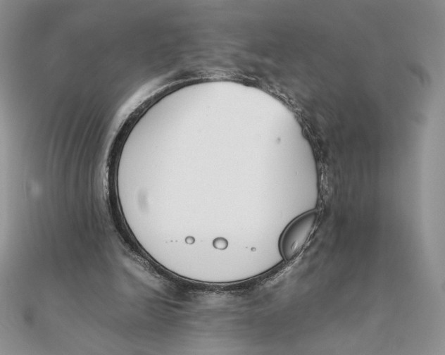 X0000111430246200908031337