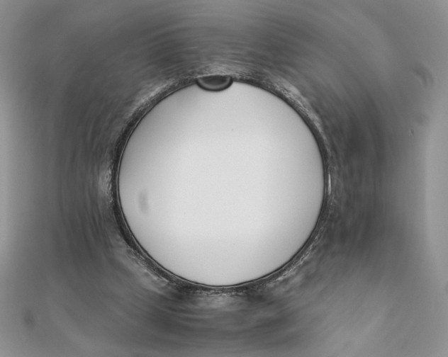 X0000111430249200908031337