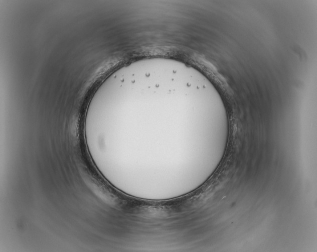 X0000111430250200908031337