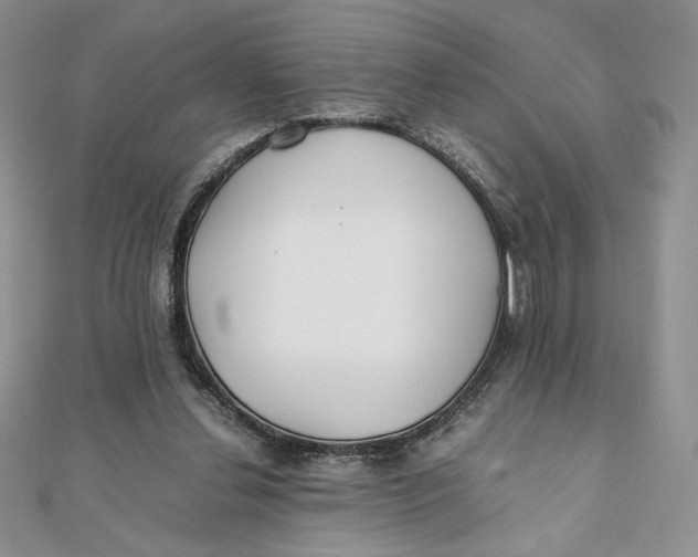 X0000111430252200908031337