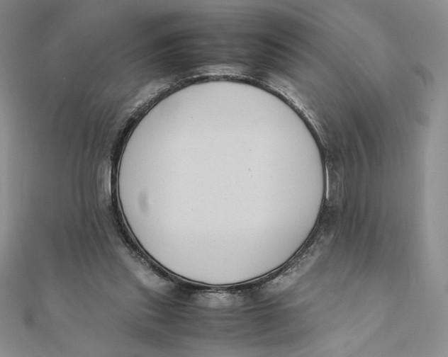 X0000111430253200908031337