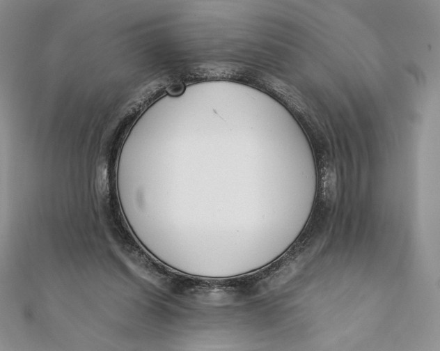 X0000111430254200908031337