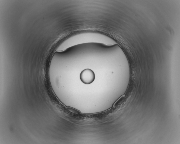 X0000111430256200908031337