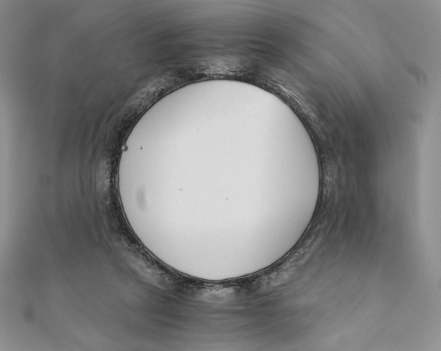 X0000111430257200908031337