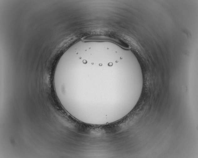 X0000111430258200908031337