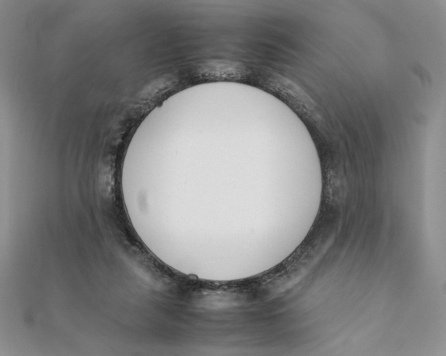 X0000111430259200908031337