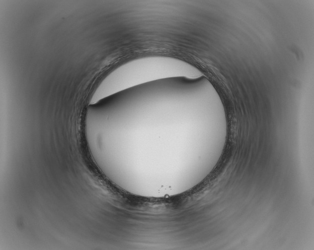 X0000111430260200908031337