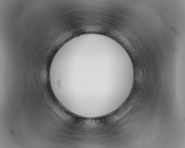 X0000111430261200908031337