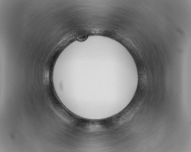 X0000111430262200908031337