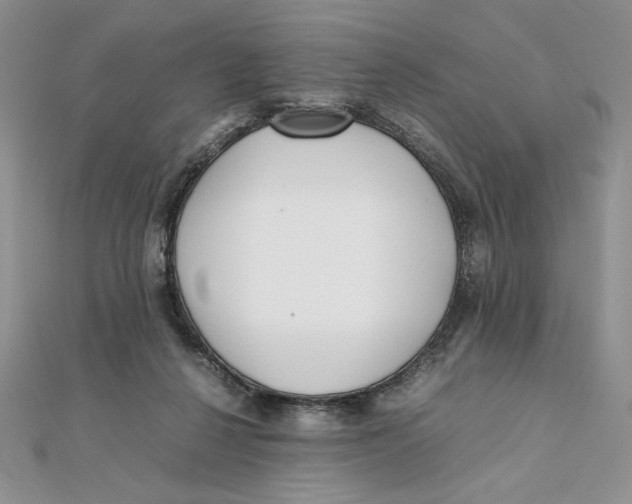 X0000111430264200908031337