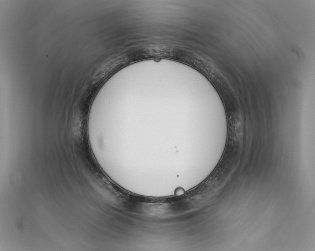 X0000111430266200908031337