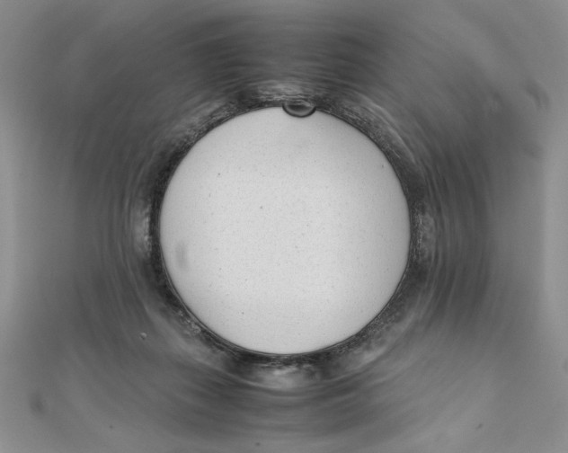 X0000111430267200908031337