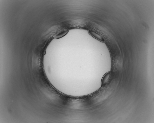 X0000111430268200908031337