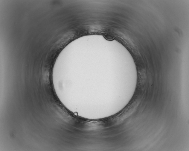 X0000111430269200908031337