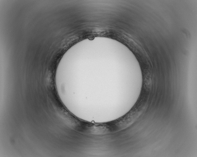 X0000111430270200908031337