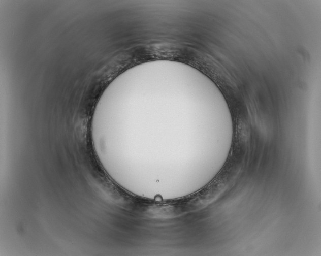 X0000111430271200908031337