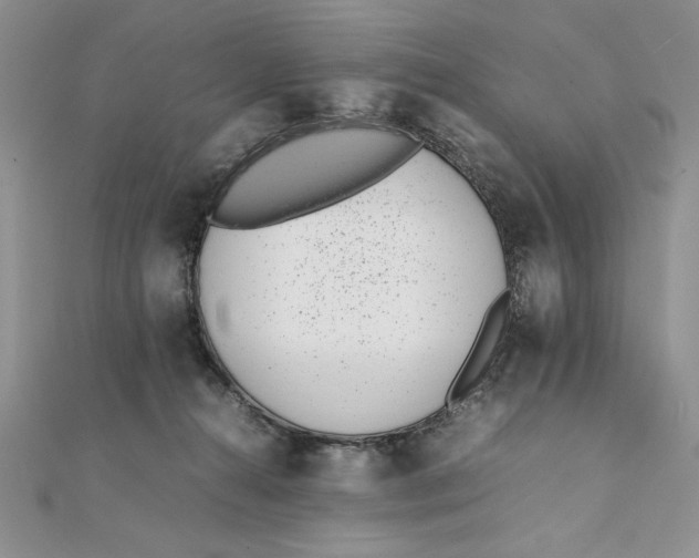 X0000111430272200908031337