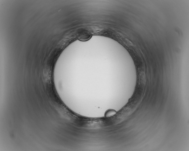 X0000111430274200908031338