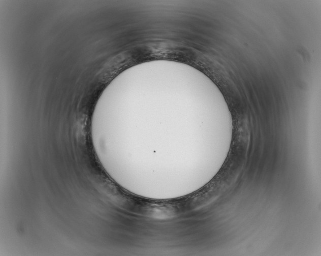 X0000111430275200908031338