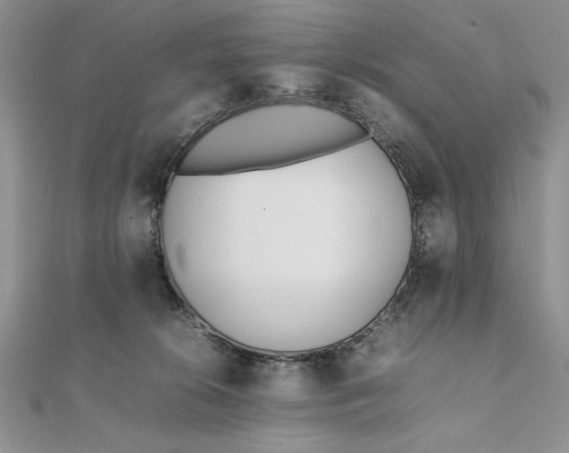 X0000111430276200908031338