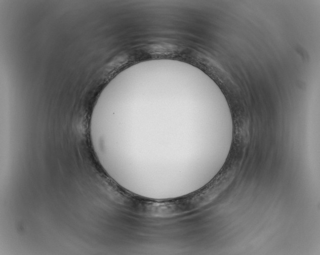 X0000111430277200908031338