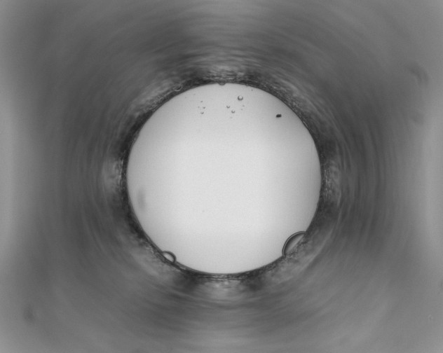 X0000111430278200908031338