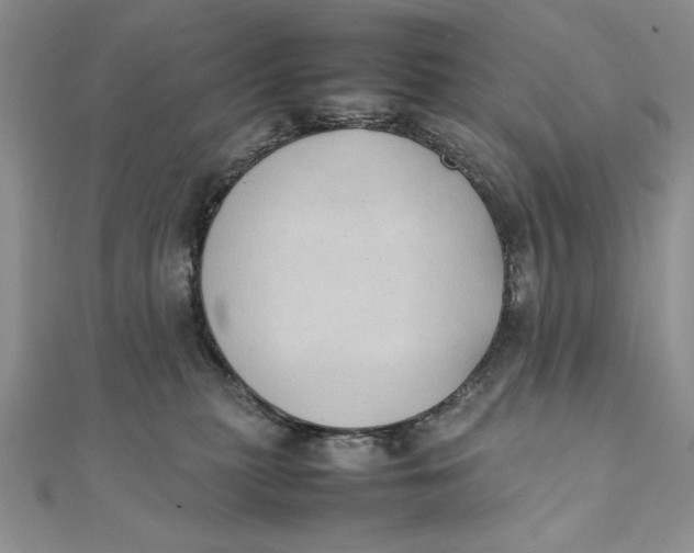 X0000111430279200908031338