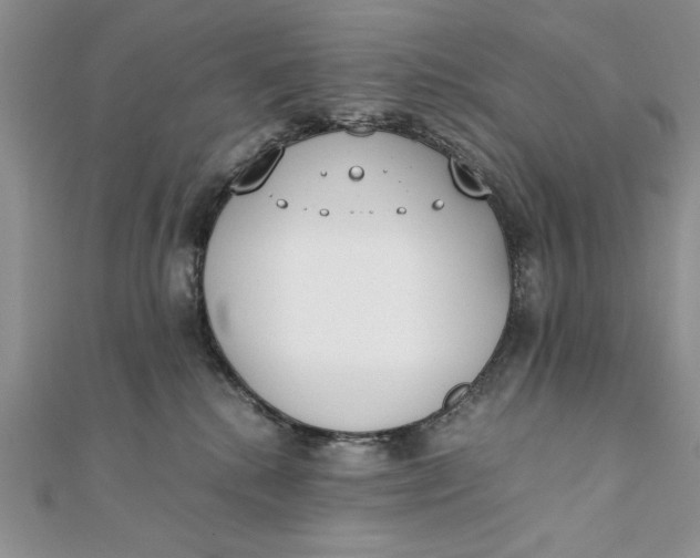 X0000111430280200908031338