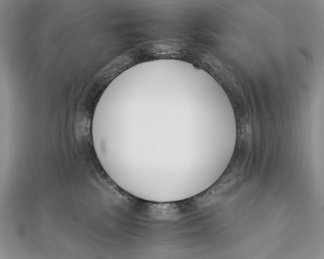 X0000111430281200908031338