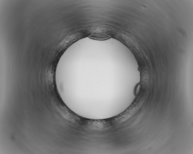 X0000111430282200908031338