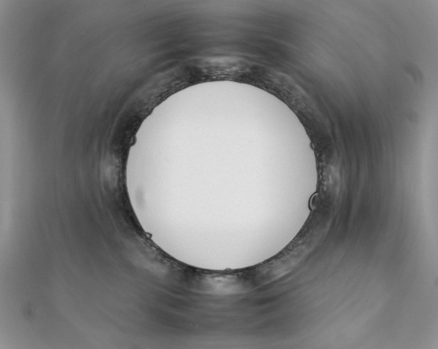 X0000111430283200908031338