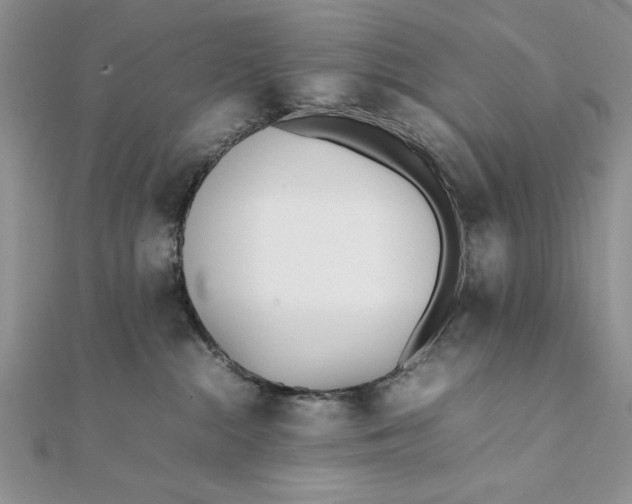 X0000111430284200908031338