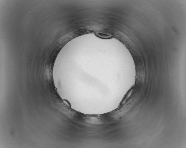 X0000111430285200908031338