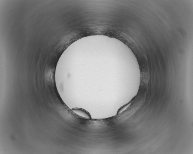 X0000111430286200908031338