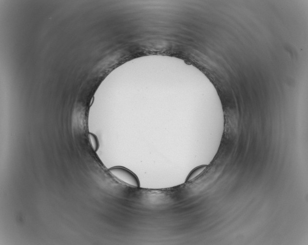 X0000111430287200908031338