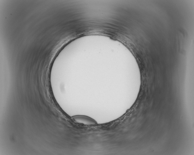 X0000111430289200908031337