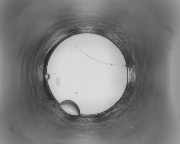 X0000111430291200908031337