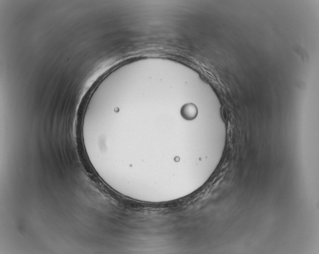 X0000111430292200908031337