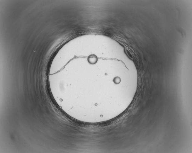 X0000111430293200908031337