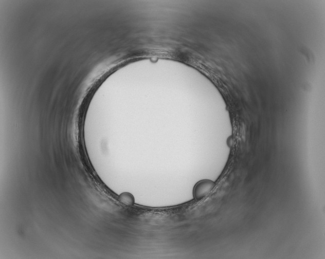 X0000111430294200908031337