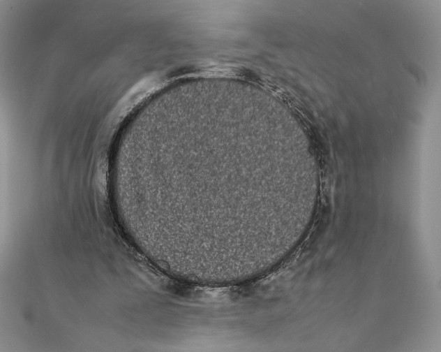 X0000111430295200908031337