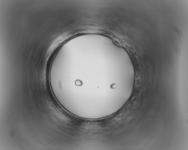 X0000111430296200908031337