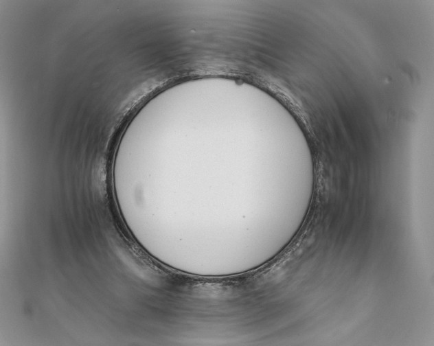 X0000111430298200908031337