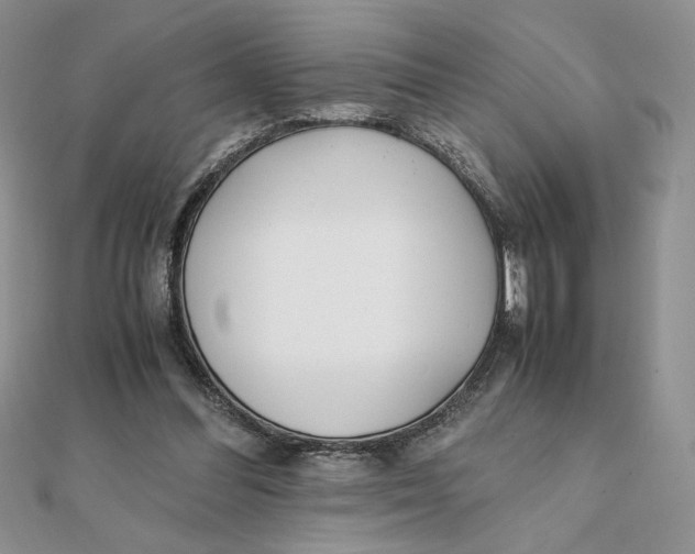 X0000111430300200908031337